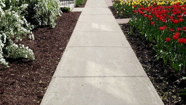 Concrete Sidewalk Paving