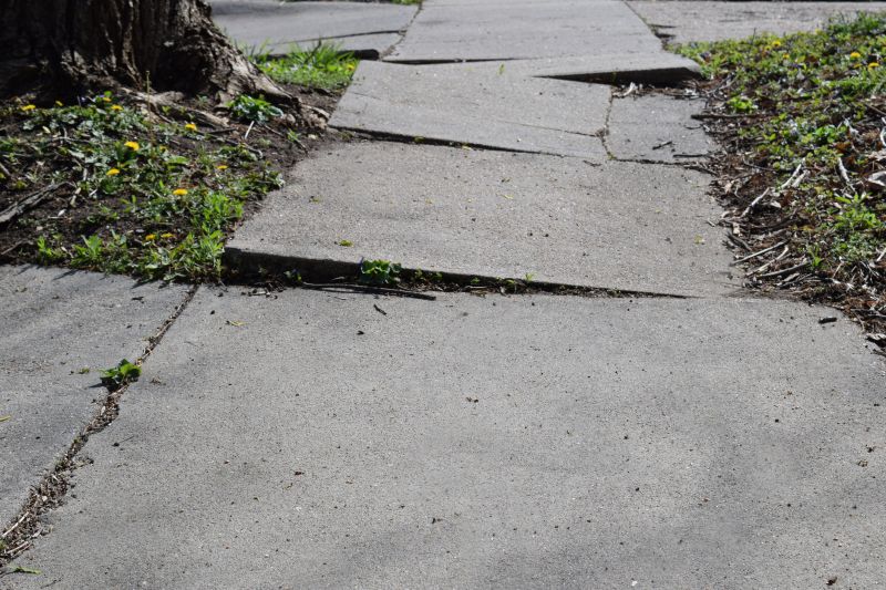 Damaged Sidewalks Before Replacement
